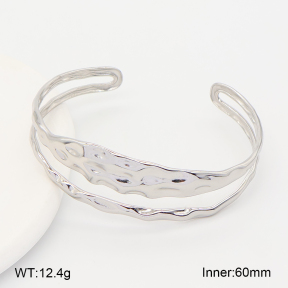 2BA202770abol-775  Stainless Steel Bangle