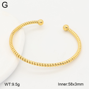 2BA202772bvpl-775  Stainless Steel Bangle