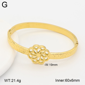 2BA202773vhkl-775  Stainless Steel Bangle
