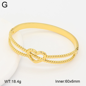 2BA202781bhjl-775  Stainless Steel Bangle