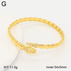 2BA402943vhkb-775  Stainless Steel Bangle