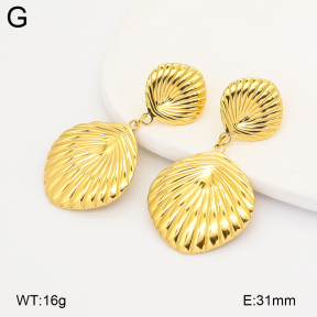 2E2007099bhjl-775  Stainless Steel Earrings