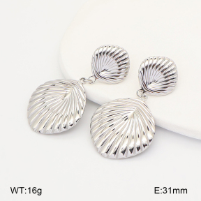 2E2007100vhhl-775  Stainless Steel Earrings