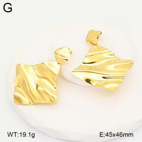 2E2007101vhkl-775  Stainless Steel Earrings