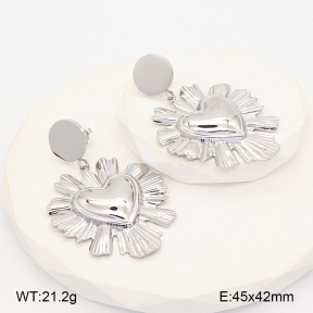 2E2007104vhhl-775  Stainless Steel Earrings