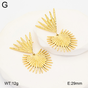 2E2007105vhkb-775  Stainless Steel Earrings