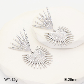 2E2007106vhhl-775  Stainless Steel Earrings