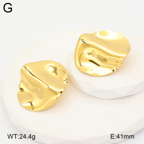 2E2007107bhjl-775  Stainless Steel Earrings
