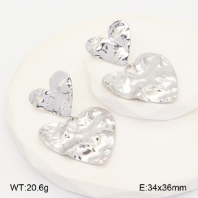 2E2007110bhva-775  Stainless Steel Earrings