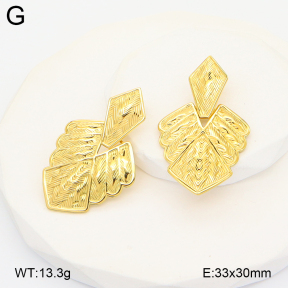 2E2007111vhhl-775  Stainless Steel Earrings