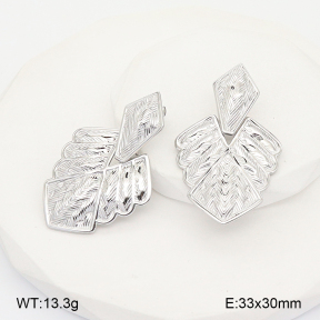 2E2007112abol-775  Stainless Steel Earrings