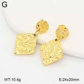 2E2007115bhjl-775  Stainless Steel Earrings
