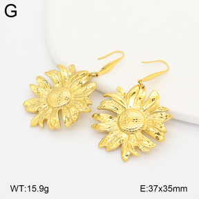 2E2007117vhhl-775  Stainless Steel Earrings