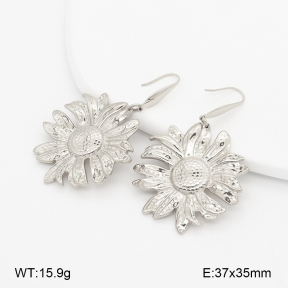 2E2007118bvpl-775  Stainless Steel Earrings