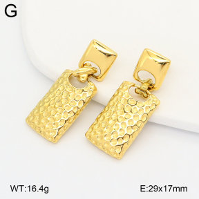 2E2007119ahlv-775  Stainless Steel Earrings