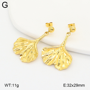 2E2007123vhhl-775  Stainless Steel Earrings