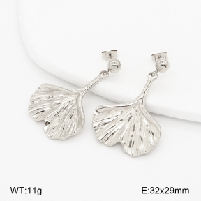 2E2007124bvpl-775  Stainless Steel Earrings
