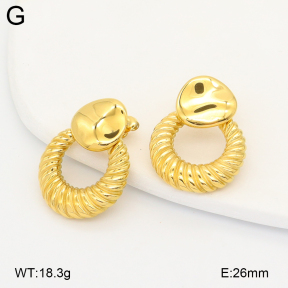 2E2007125ahjb-775  Stainless Steel Earrings