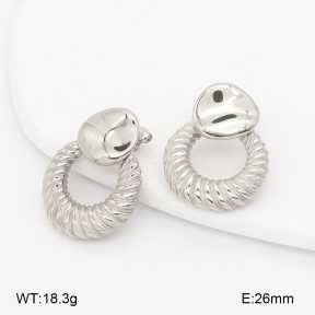 2E2007126bhva-775  Stainless Steel Earrings