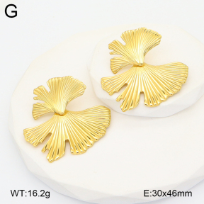 2E2007127bhia-775  Stainless Steel Earrings