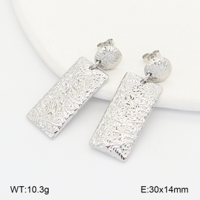 2E2007129bhva-775  Stainless Steel Earrings