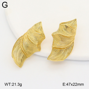 2E2007130ahjb-775  Stainless Steel Earrings