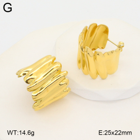 2E2007131vhha-775  Stainless Steel Earrings