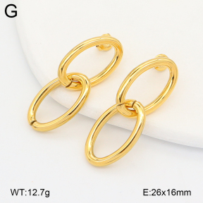 2E2007132bhva-775  Stainless Steel Earrings