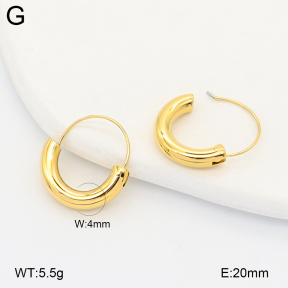 2E2007133abol-775  Stainless Steel Earrings