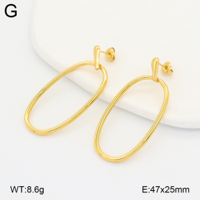 2E2007134bhia-775  Stainless Steel Earrings