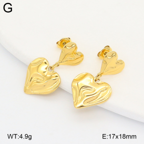2E2007135vhha-775  Stainless Steel Earrings