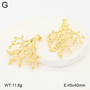 2E2007137abol-775  Stainless Steel Earrings