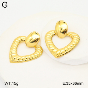2E2007139bhjl-775  Stainless Steel Earrings