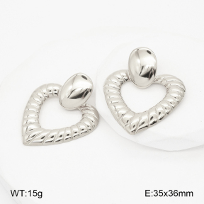 2E2007140vhha-775  Stainless Steel Earrings