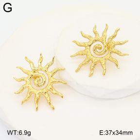 2E2007143bvpl-775  Stainless Steel Earrings