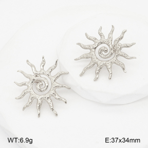 2E2007144vbnl-775  Stainless Steel Earrings