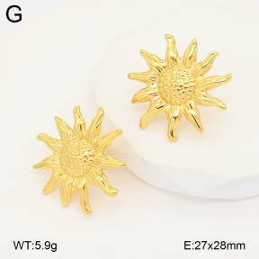2E2007145bbov-775  Stainless Steel Earrings