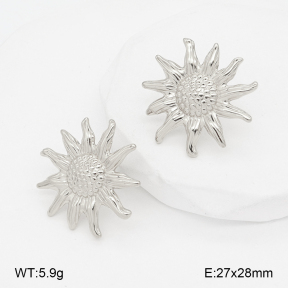 2E2007146bbml-775  Stainless Steel Earrings