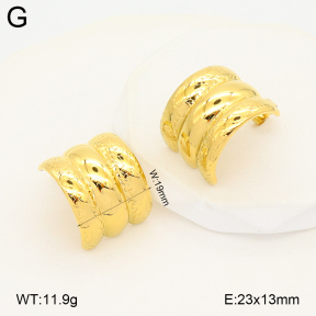 2E2007147bvpl-775  Stainless Steel Earrings