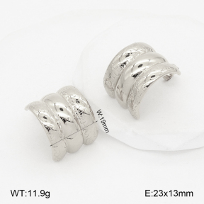 2E2007148bbov-775  Stainless Steel Earrings