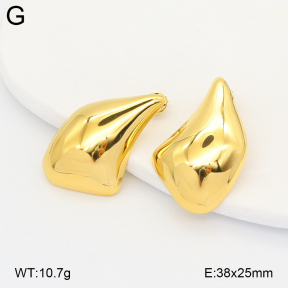 2E2007149vbpb-775  Stainless Steel Earrings