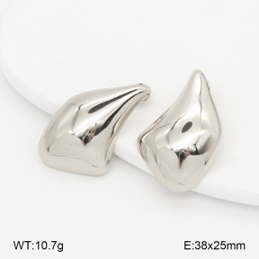 2E2007150vbnb-775  Stainless Steel Earrings