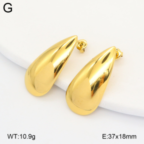 2E2007151vbpb-775  Stainless Steel Earrings