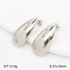2E2007152vbnl-775  Stainless Steel Earrings