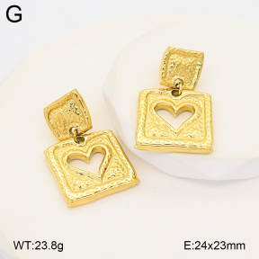 2E2007155bhil-775  Stainless Steel Earrings
