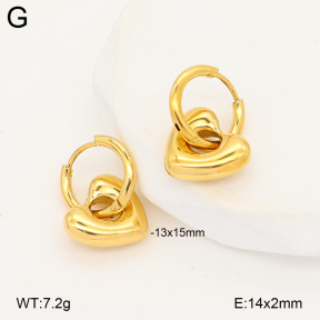 2E2007157vbpb-775  Stainless Steel Earrings