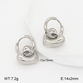2E2007158vbnl-775  Stainless Steel Earrings