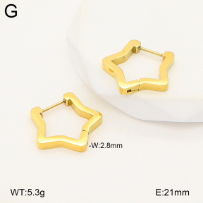 2E2007159vbnb-775  Stainless Steel Earrings