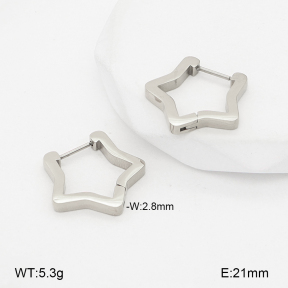 2E2007160vbmb-775  Stainless Steel Earrings
