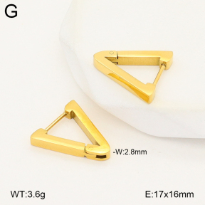 2E2007161vbnb-775  Stainless Steel Earrings